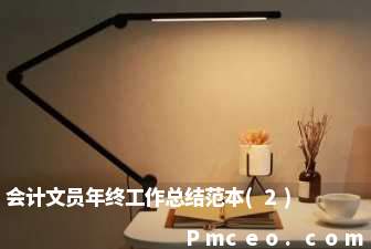 会计文员年终工作总结范本(2)
